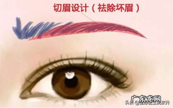 关于眉毛风水讲解 切眉毛对风水有说法吗