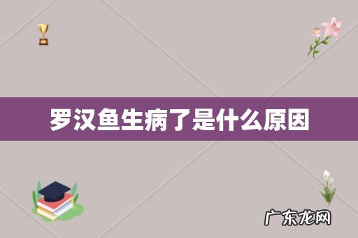 罗汉鱼生病了是什么原因