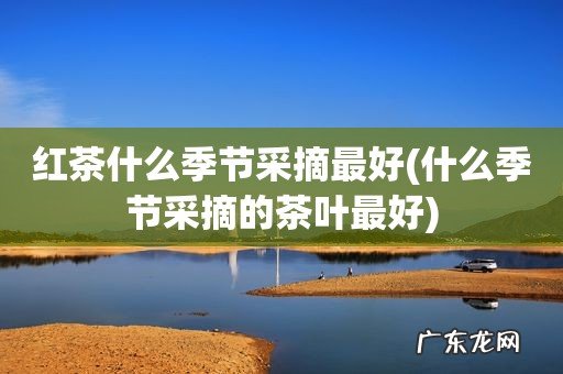 什么季节采摘的茶叶最好 红茶什么季节采摘最好