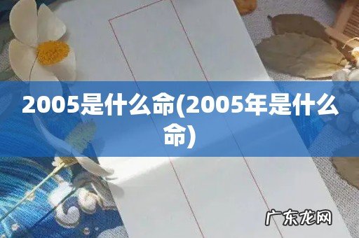 2005年是什么命 2005是什么命