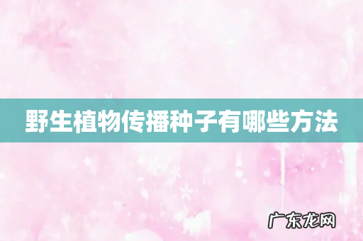 野生植物传播种子有哪些方法
