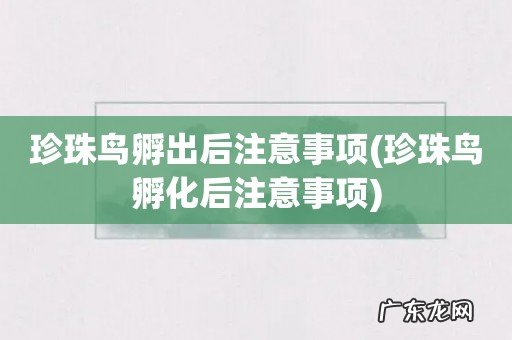 珍珠鸟孵化后注意事项 珍珠鸟孵出后注意事项