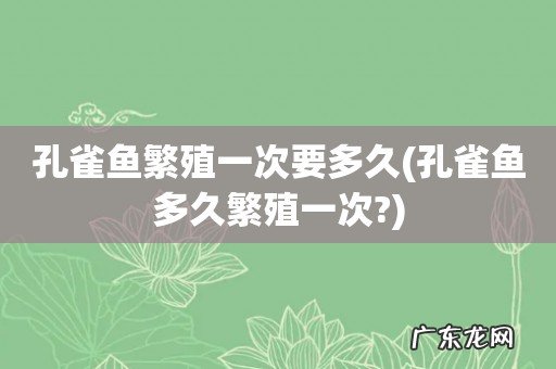 孔雀鱼多久繁殖一次? 孔雀鱼繁殖一次要多久