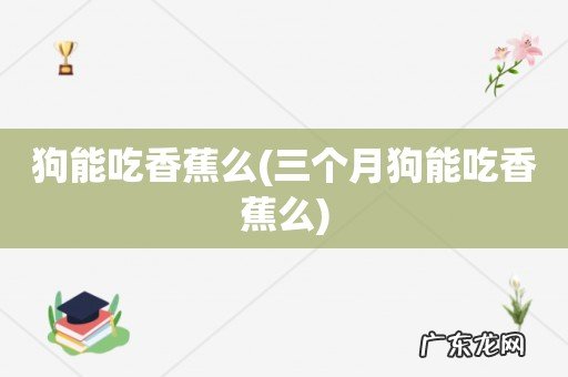 三个月狗能吃香蕉么 狗能吃香蕉么