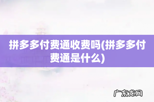 拼多多付费通是什么 拼多多付费通收费吗