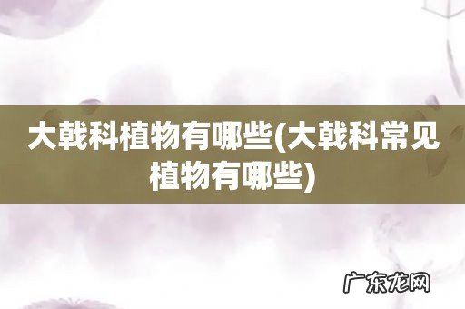 大戟科常见植物有哪些 大戟科植物有哪些