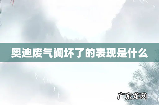 奥迪废气阀坏了的表现是什么