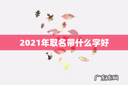 2021年取名带什么字好