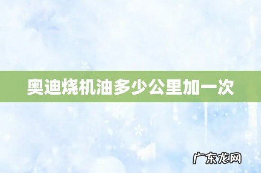 奥迪烧机油多少公里加一次