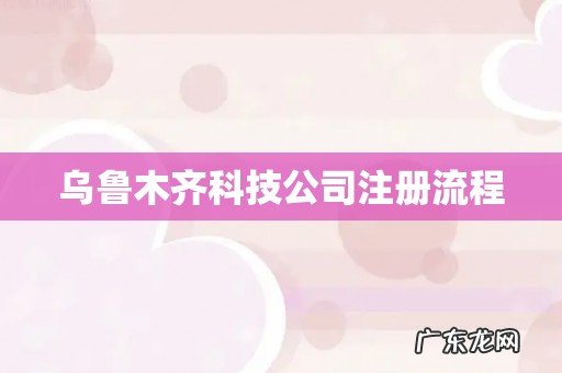 乌鲁木齐科技公司注册流程