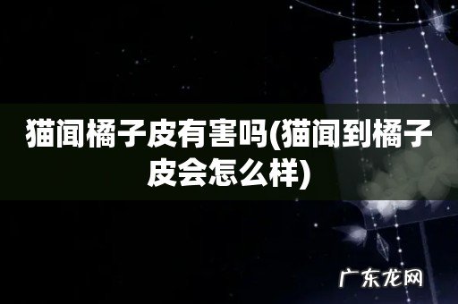 猫闻到橘子皮会怎么样 猫闻橘子皮有害吗