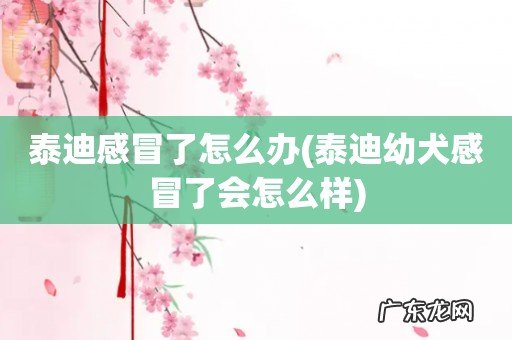 泰迪幼犬感冒了会怎么样 泰迪感冒了怎么办