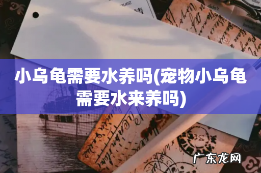 宠物小乌龟需要水来养吗 小乌龟需要水养吗
