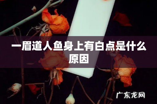 一眉道人鱼身上有白点是什么原因