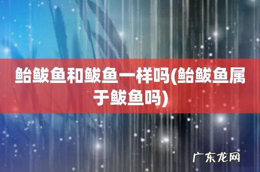 鲐鲅鱼属于鲅鱼吗 鲐鲅鱼和鲅鱼一样吗