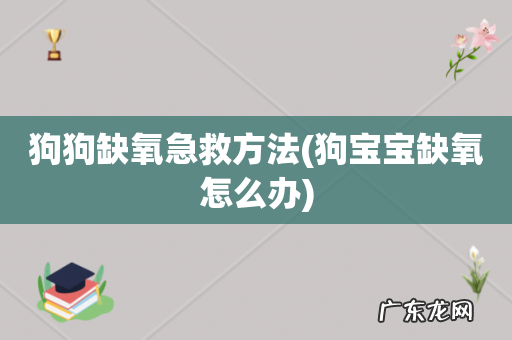 狗宝宝缺氧怎么办 狗狗缺氧急救方法