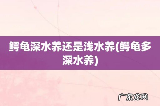 鳄龟多深水养 鳄龟深水养还是浅水养