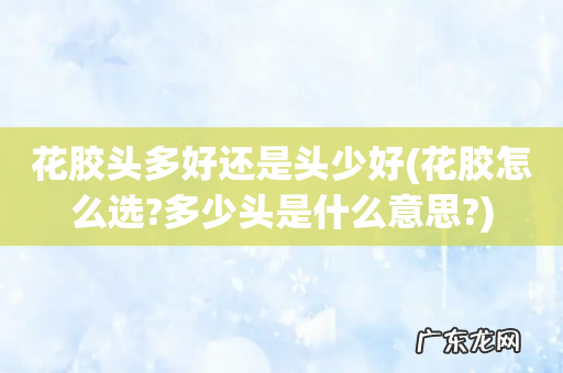 花胶怎么选?多少头是什么意思? 花胶头多好还是头少好