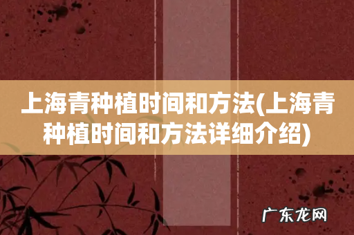 上海青种植时间和方法详细介绍 上海青种植时间和方法