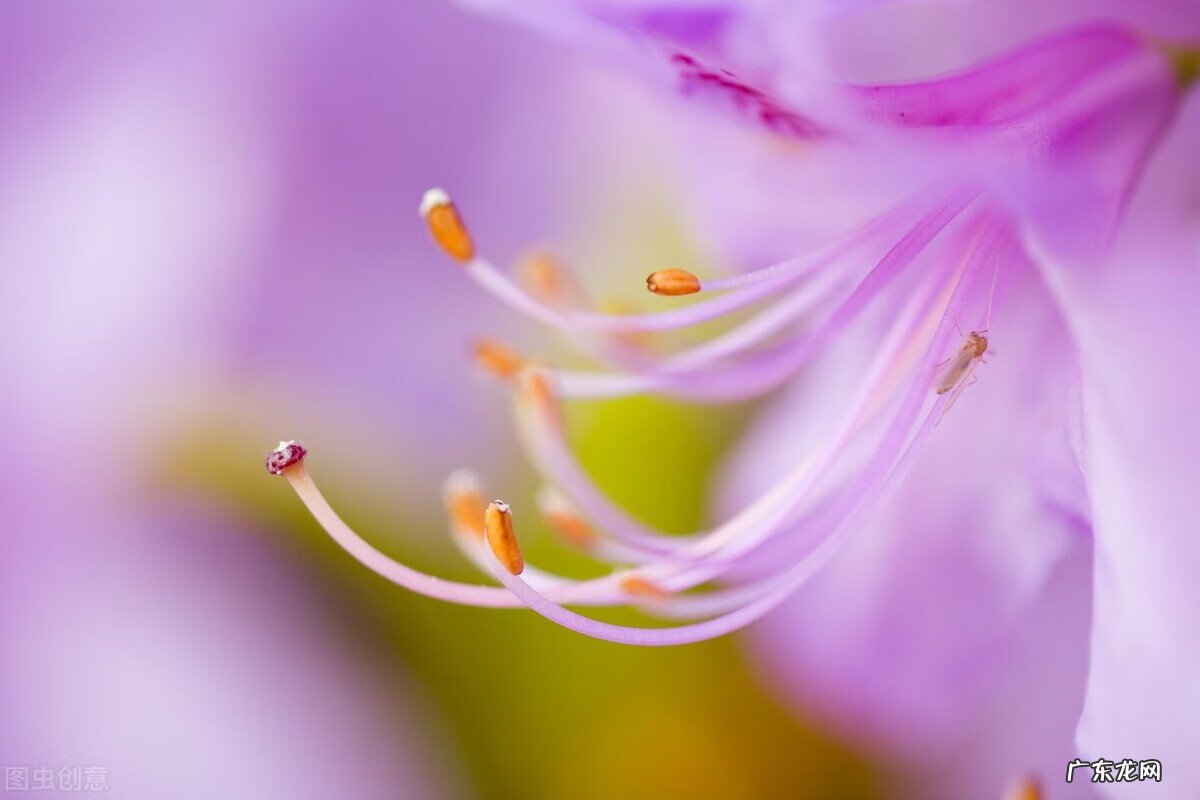 不一样的眼光开头 不一样的眼光作文