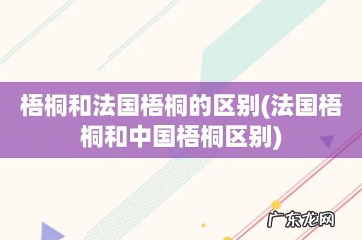 法国梧桐和中国梧桐区别 梧桐和法国梧桐的区别