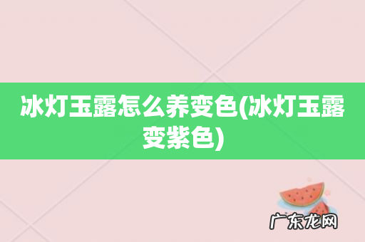冰灯玉露变紫色 冰灯玉露怎么养变色