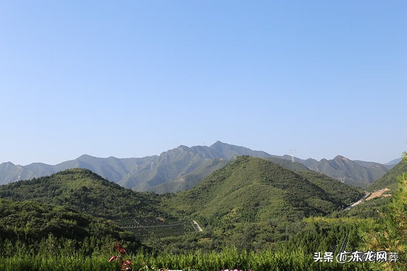 2020年风水收费价格表项目表 风水价格表图片