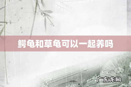 鳄龟和草龟可以一起养吗