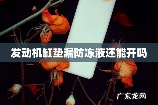 发动机缸垫漏防冻液还能开吗