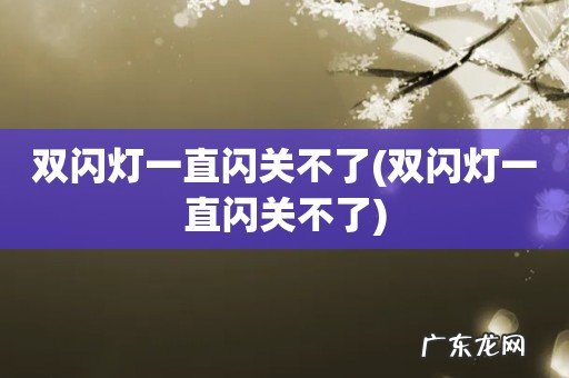 双闪灯一直闪关不了 双闪灯一直闪关不了