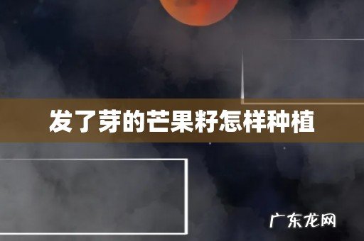 发了芽的芒果籽怎样种植