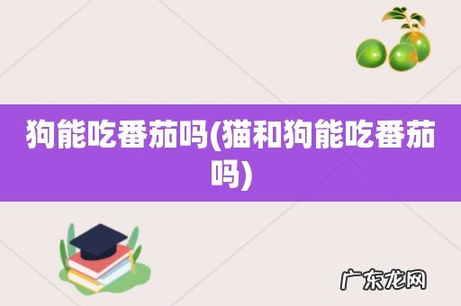 猫和狗能吃番茄吗 狗能吃番茄吗