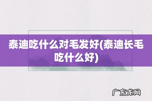 泰迪长毛吃什么好 泰迪吃什么对毛发好