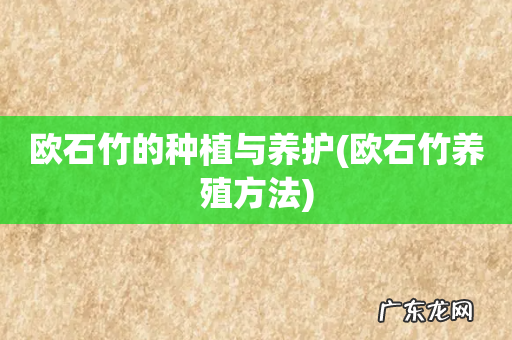 欧石竹养殖方法 欧石竹的种植与养护