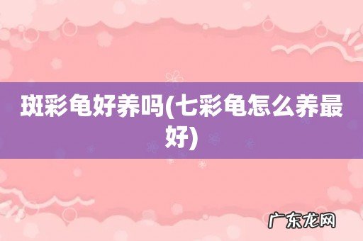 七彩龟怎么养最好 斑彩龟好养吗