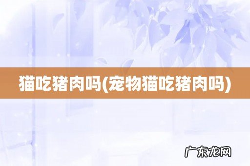 宠物猫吃猪肉吗 猫吃猪肉吗