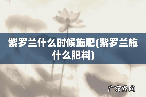 紫罗兰施什么肥料 紫罗兰什么时候施肥