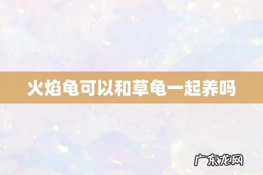 火焰龟可以和草龟一起养吗