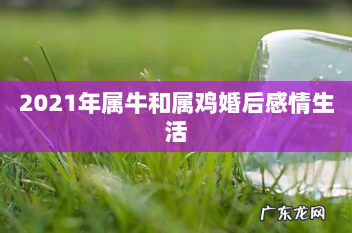 2021年属牛和属鸡婚后感情生活