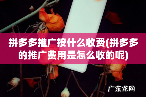 拼多多的推广费用是怎么收的呢 拼多多推广按什么收费