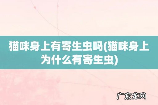 猫咪身上为什么有寄生虫 猫咪身上有寄生虫吗