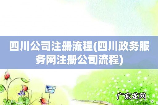 四川政务服务网注册公司流程 四川公司注册流程