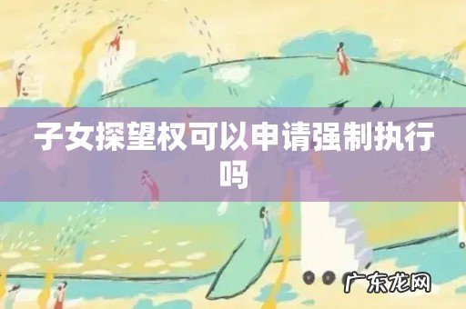 子女探望权可以申请强制执行吗