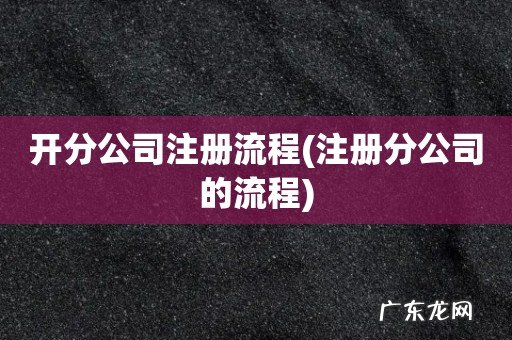 注册分公司的流程 开分公司注册流程