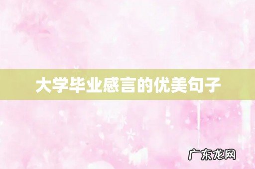 大学毕业感言的优美句子