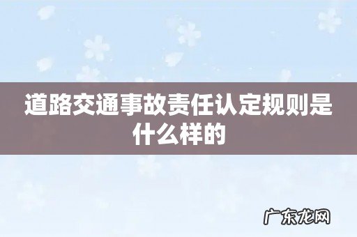 道路交通事故责任认定规则是什么样的