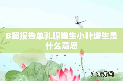 B超报告单乳腺增生小叶增生是什么意思
