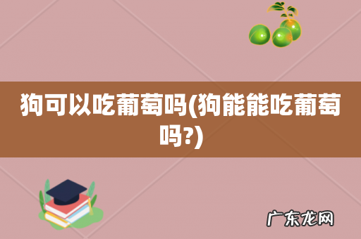 狗能能吃葡萄吗? 狗可以吃葡萄吗
