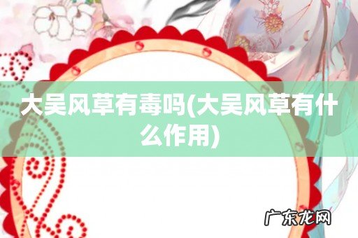 大吴风草有什么作用 大吴风草有毒吗