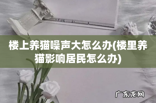 楼里养猫影响居民怎么办 楼上养猫噪声大怎么办
